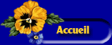 Accueil