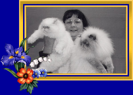 Lydia Nouailles
